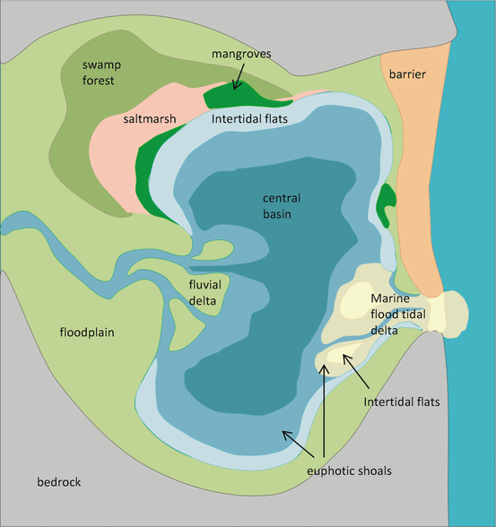 Estuary Form And Function Implications For Palaeoecological Studies Springerlink