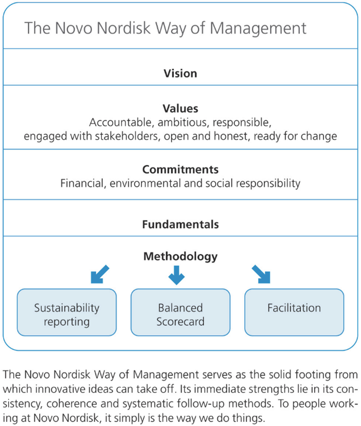 Novo Nordisk Organizational Chart