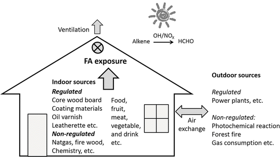 Formaldehyde From Environment Springerlink