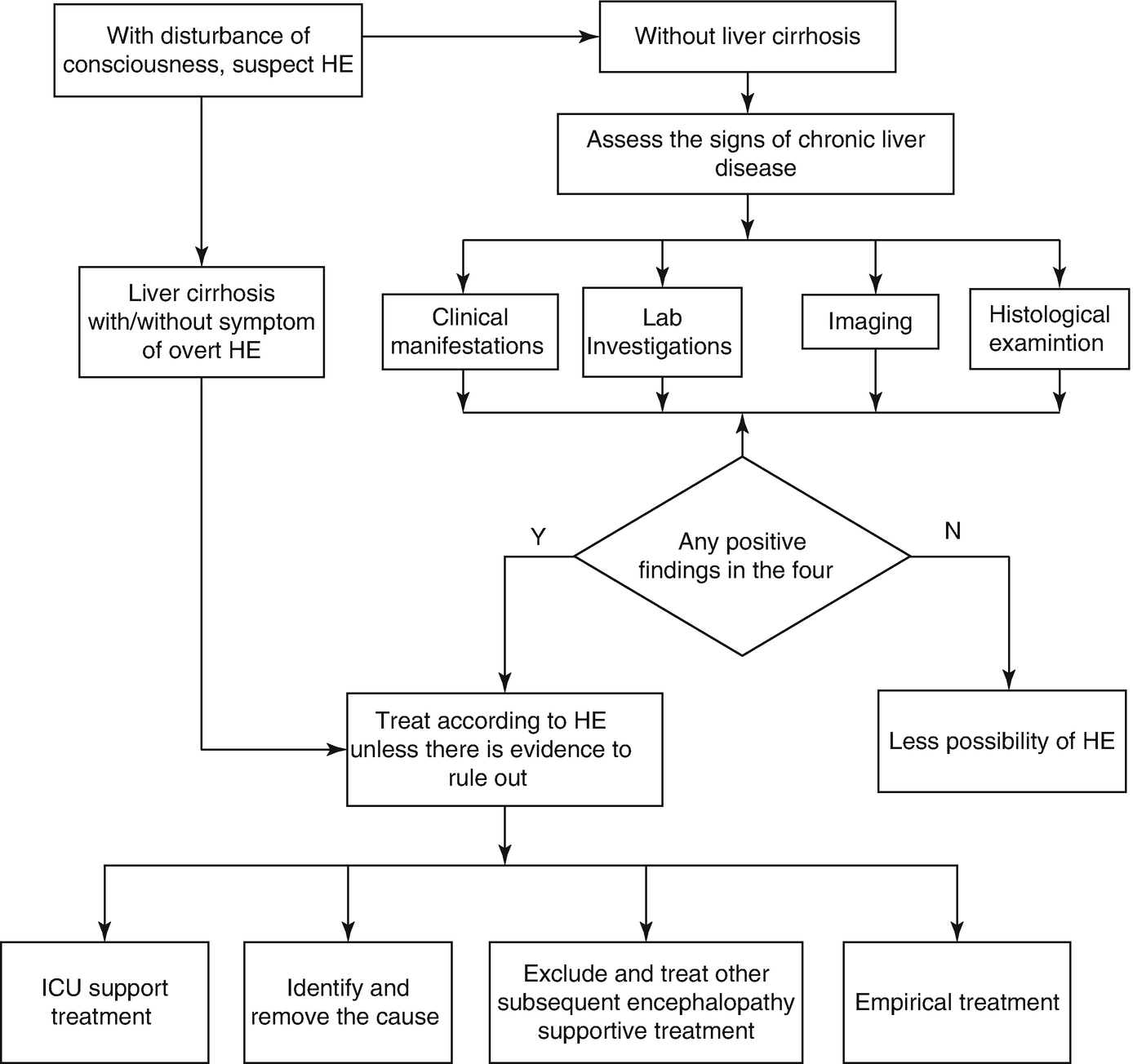 Main Complications Of Aechb And Severe Hepatitis B Liver - 