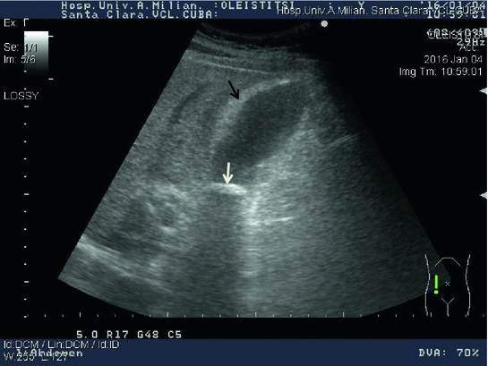 Medical Imaging Needs In A Rural Health Center From A Clinical Point Of View Springerlink
