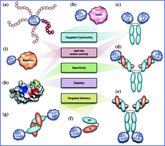 Biotechnological and Biomedical Applications of Protein Engineering ...