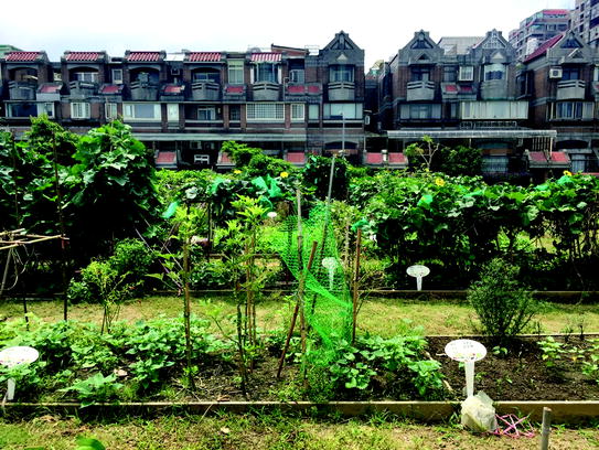 Urban Community Gardens As Multimodal Social Spaces Springerlink