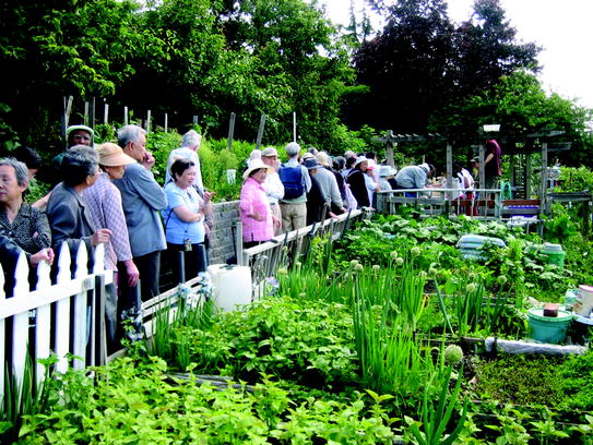 Urban Community Gardens As Multimodal Social Spaces Springerlink