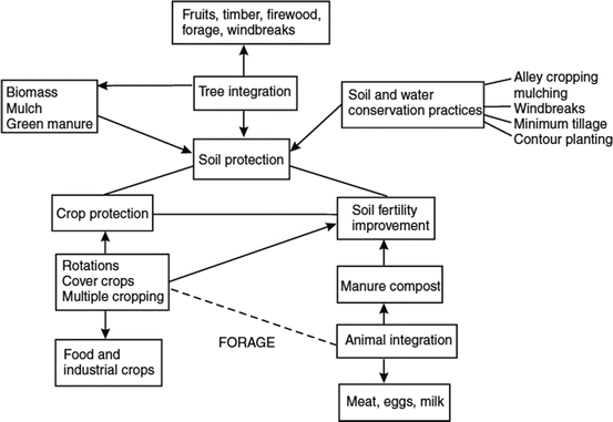 Agro Ecological Pest Management An Overview Springerlink