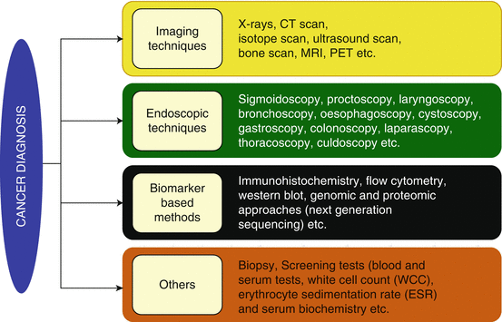 Cancer Biomarkers Important Tools For Cancer Diagnosis And Prognosis Springerlink