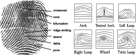 Fingerprint Acquisition Methodologies and Its Upgradation with IoT ...