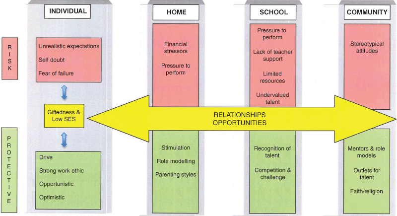 Risk And Resilience In Gifted Young People From Low Socio Economic Backgrounds Springerlink