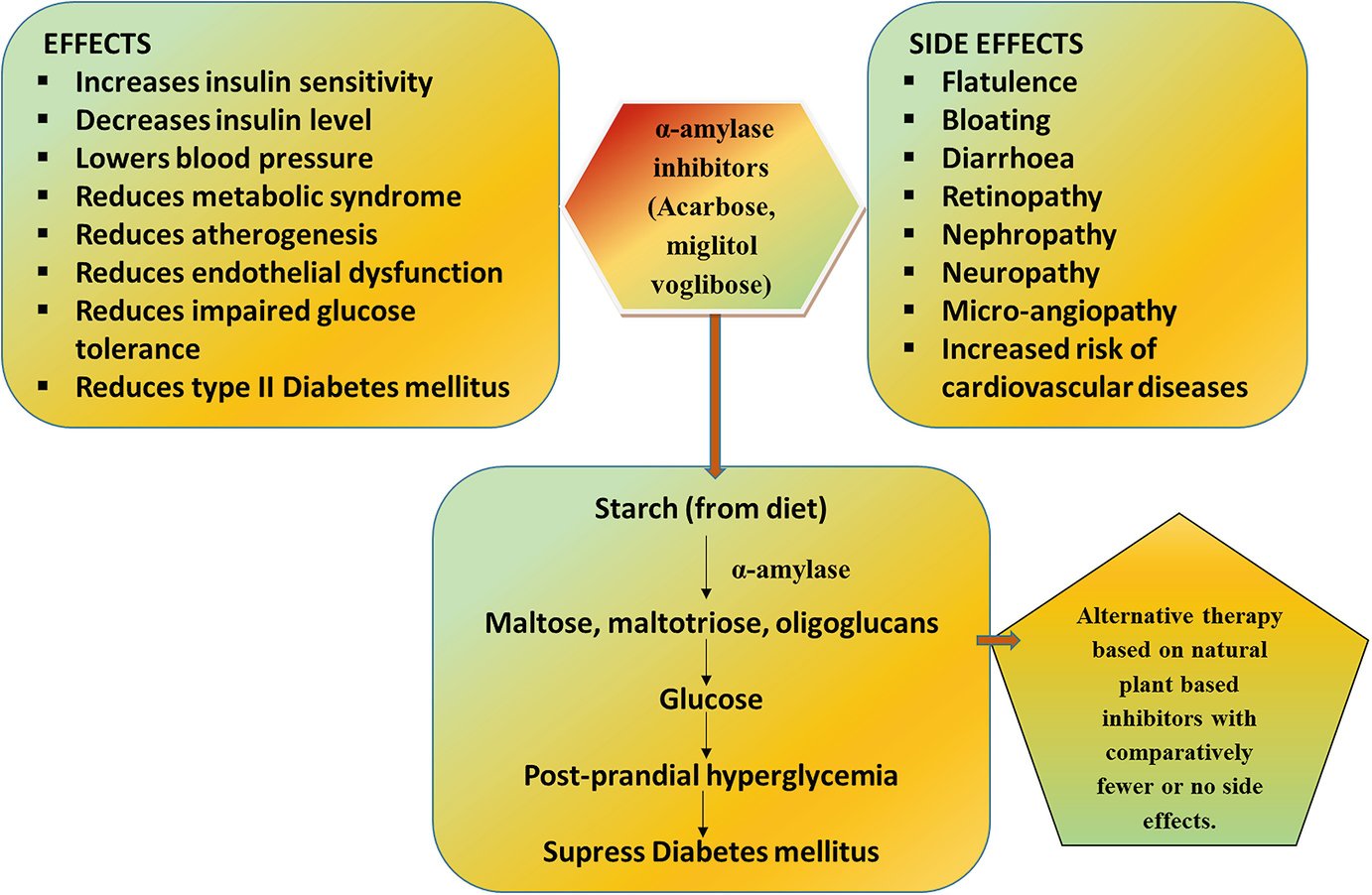 A Amylase Inhibitor S Performance In The Control Of Diabetes Mellitus An Application Of Computational Biology Springerlink