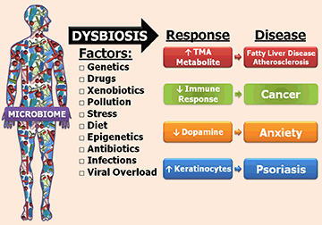 Dysbiosis mit nem szabad enni