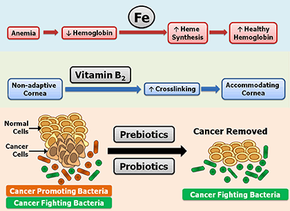 joghurt dysbiosis