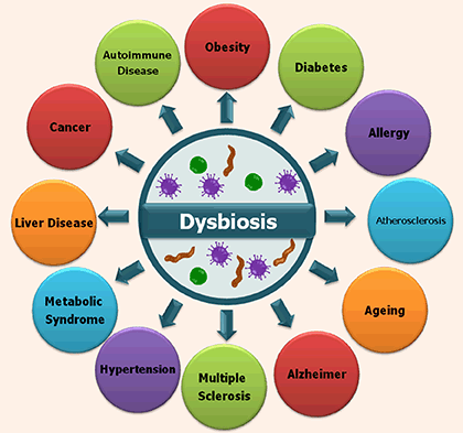 prebiotikus dysbiosis)