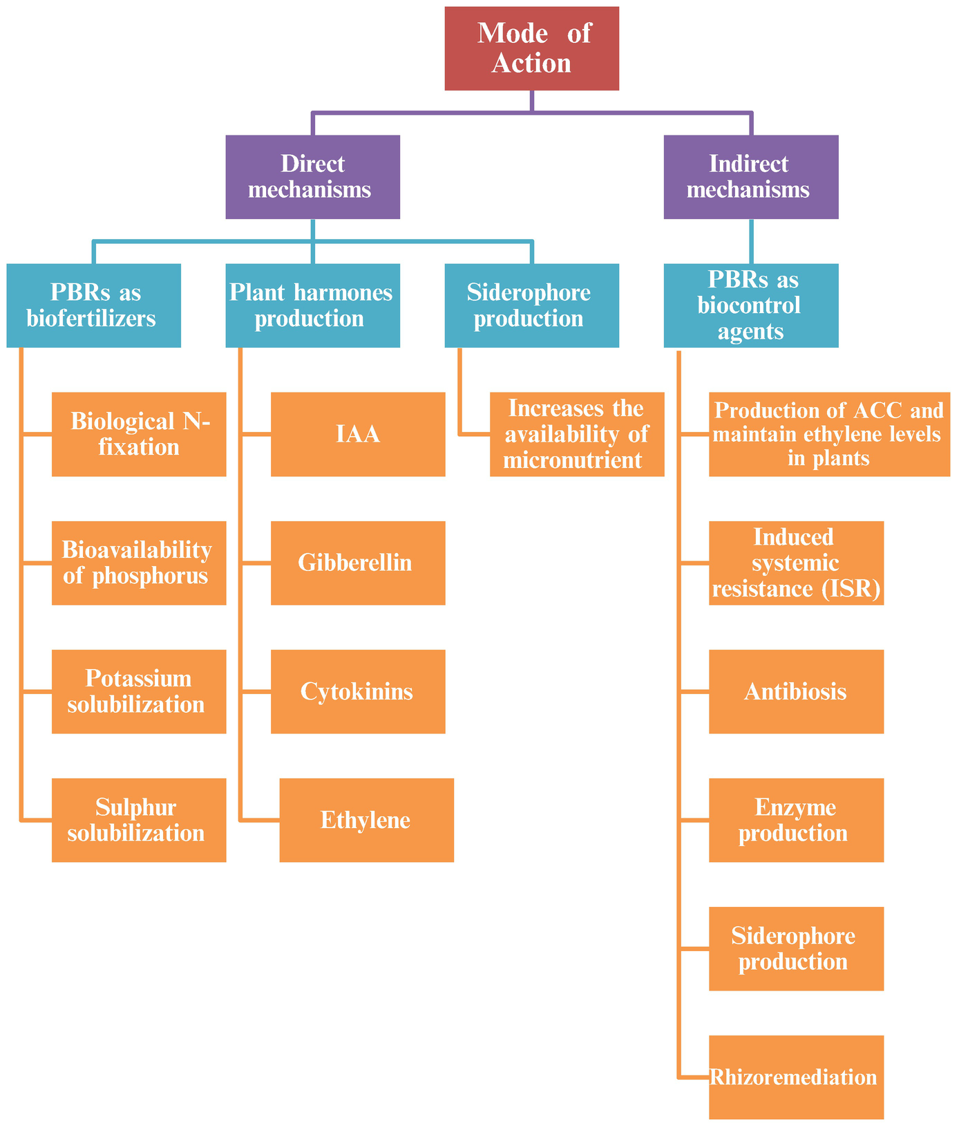 Towards Plant Beneficiary Rhizobacteria And Agricultural Images, Photos, Reviews