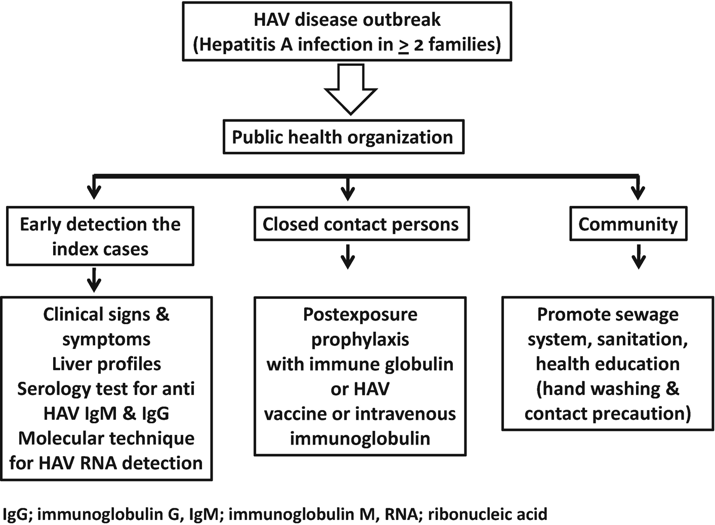 Viral Hepatitis A in Children: Detection and Management | SpringerLink