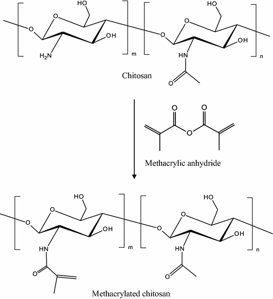 Photo Crosslinkable Hydrogels For Tissue Engineering Applications photo-crosslinkable-hydrogels-for-tissue-engineering-applications