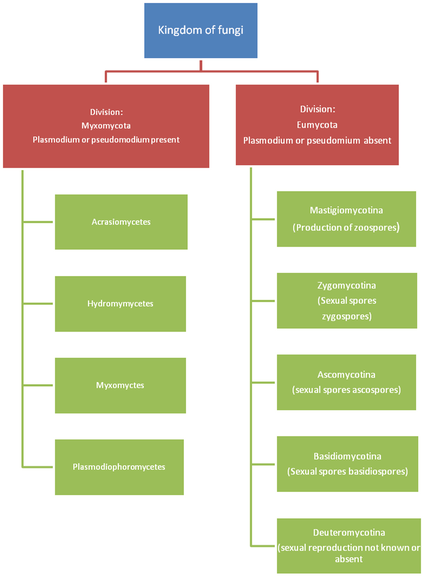 Role Of Fungi In Dye Removal Springerlink - 
