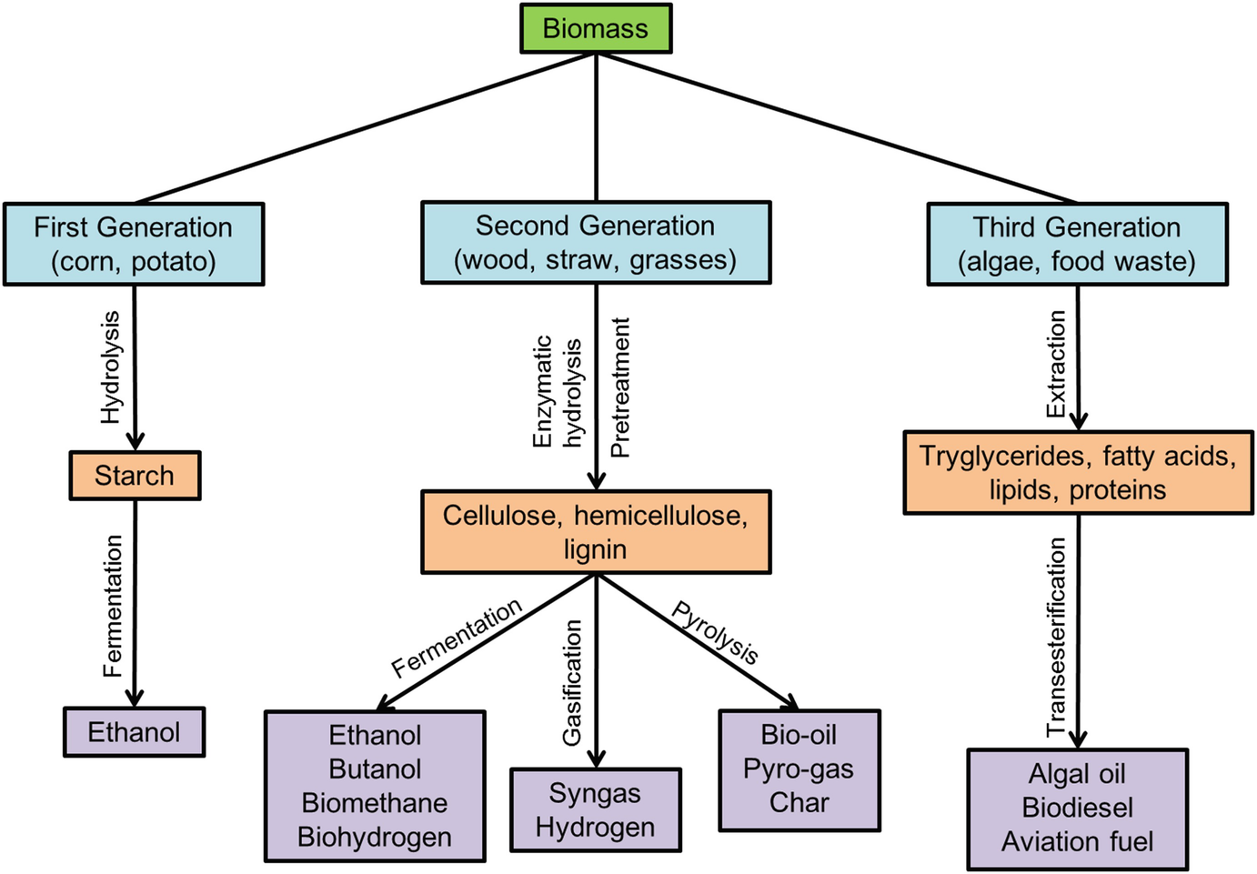 A Broad Introduction to First-, Second-, and Third-Generation Biofuels |  SpringerLink