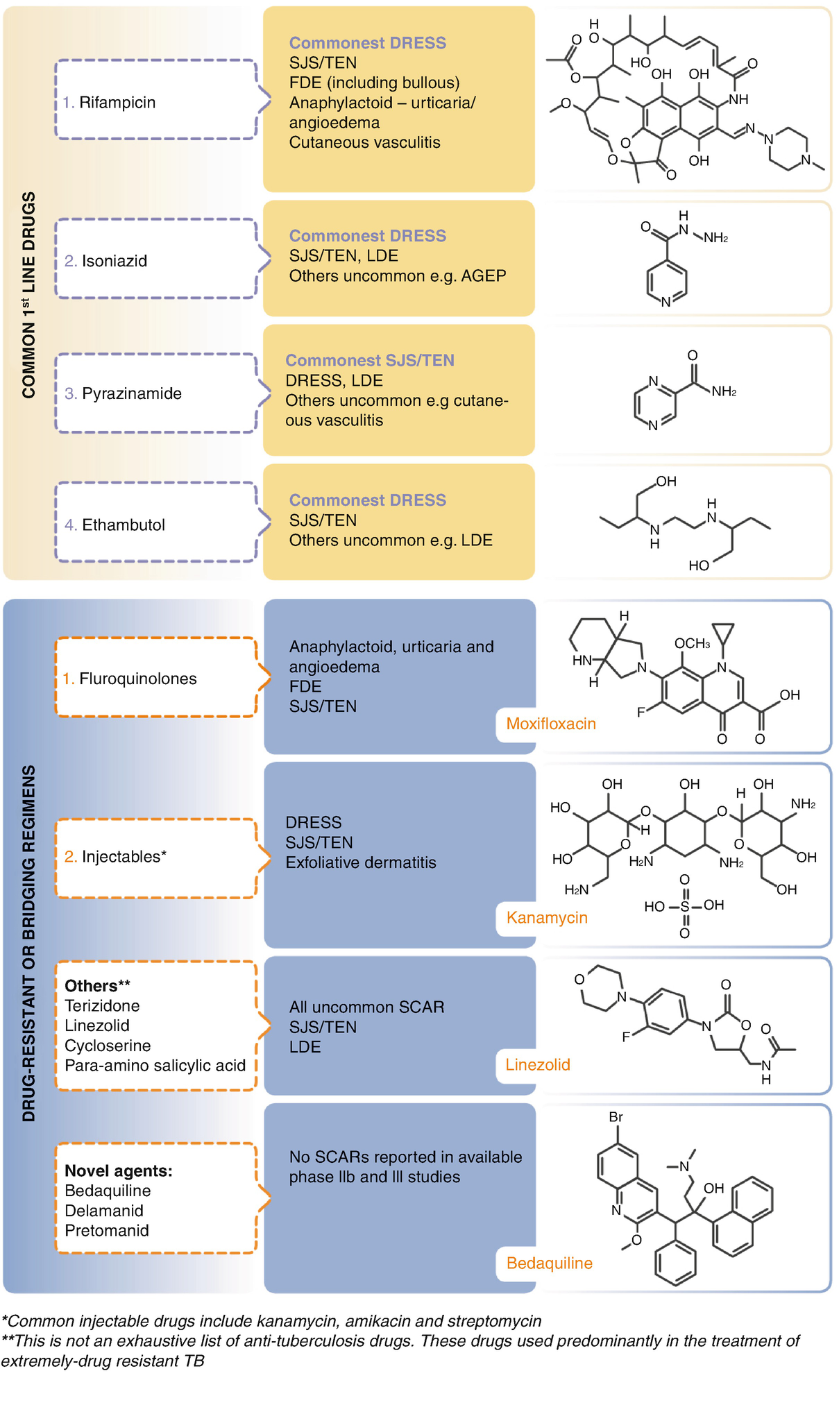 Cutaneous Adverse Drug Reactions From Antituberculosis Treatment Springerlink