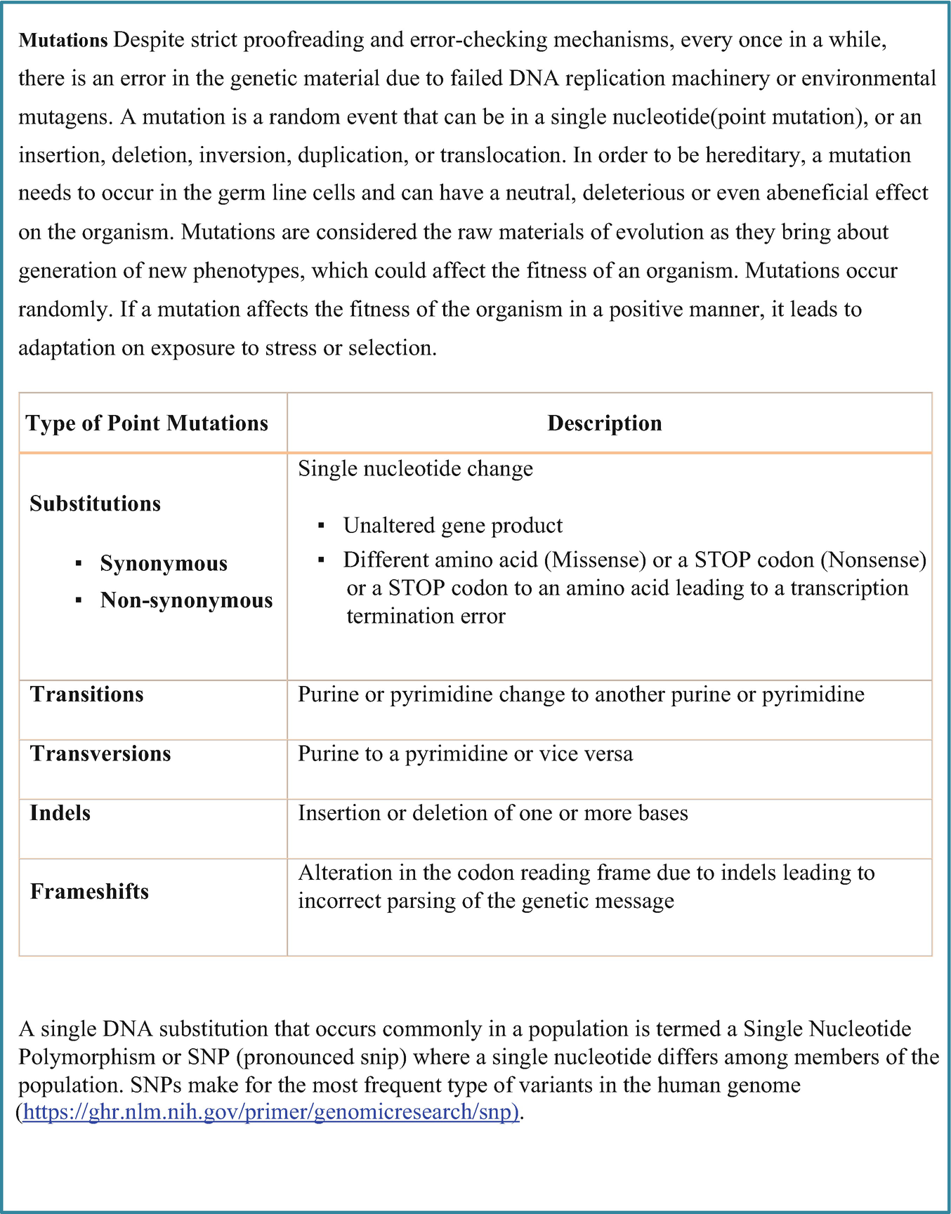 in dna, a purine must always pair with a pyrimidine and vice versa in order to ensure that in dna, a purine must always pair with a pyrimidine and vice versa in order to ensure that