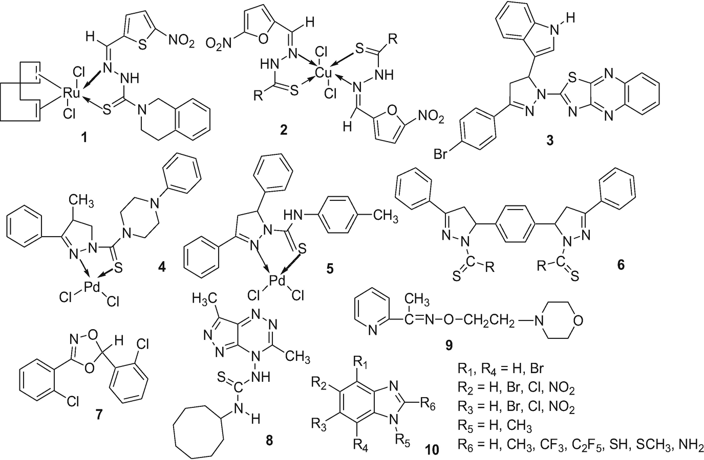 Amoebiasis Revisited Springerlink - 