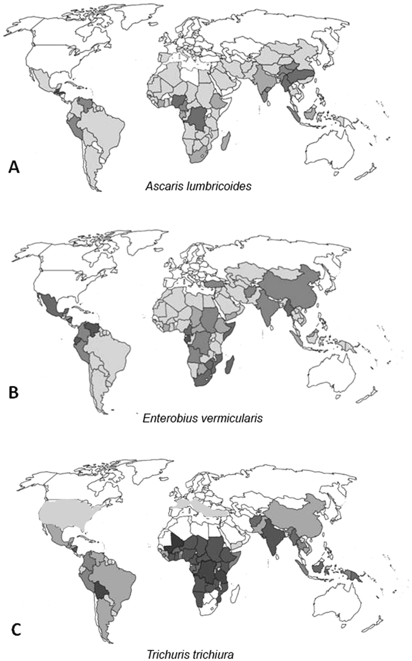 enterobiasis geohelminthiasis
