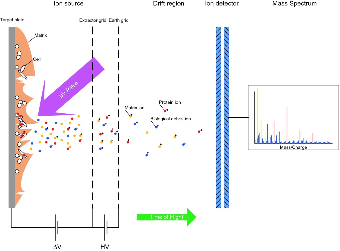 The Ongoing Revolution Of Maldi Tof Mass Spectrometry For Molecular Diagnostics Springerlink