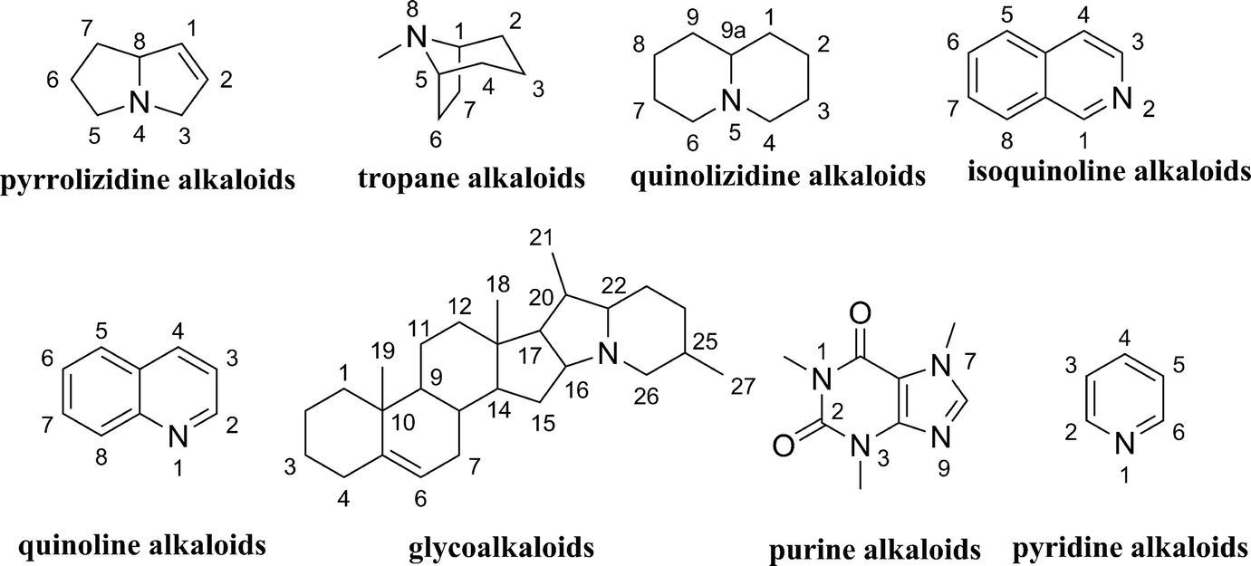 Alkaloids In Diet Springerlink