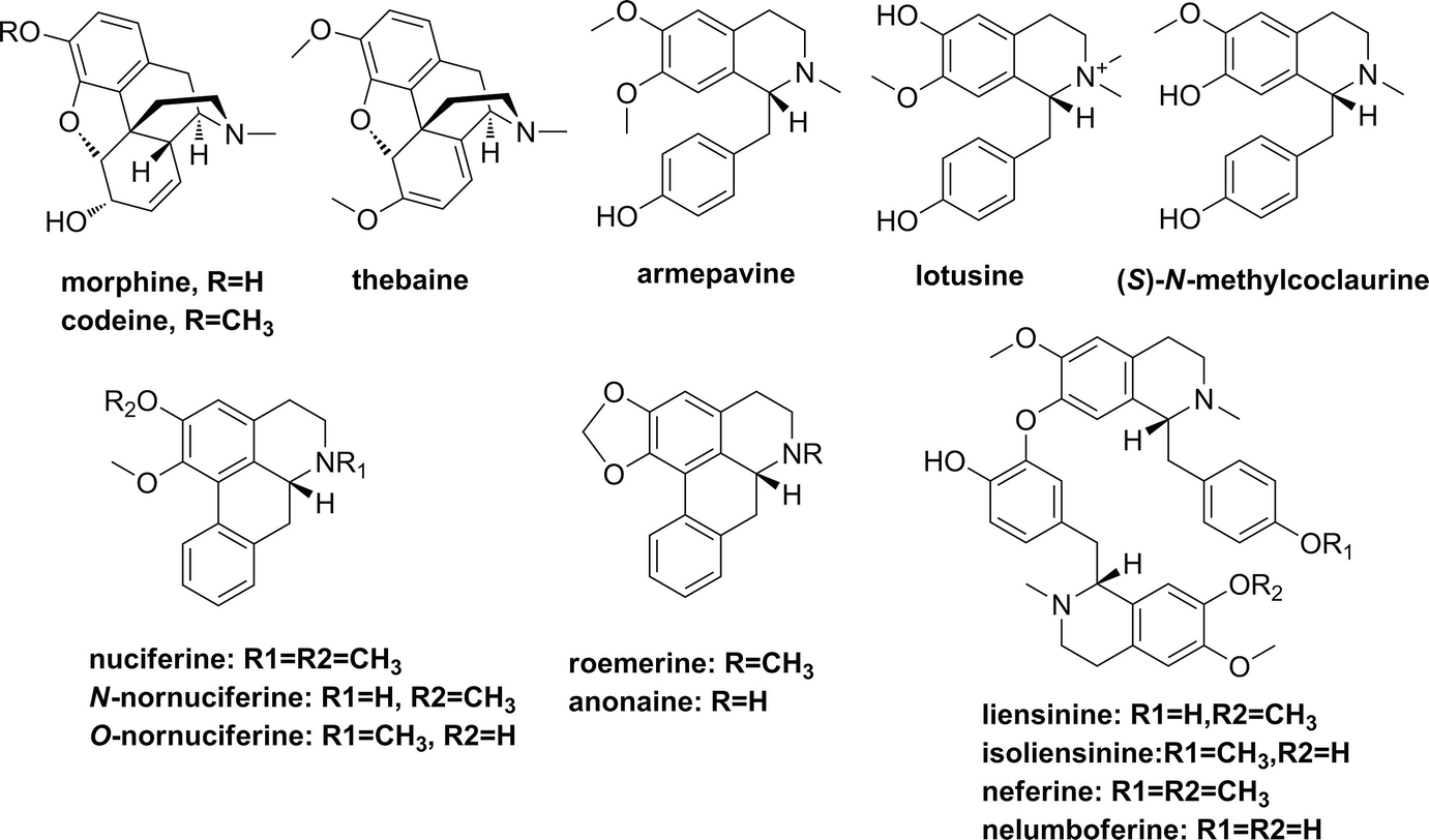 Alkaloids In Diet Springerlink