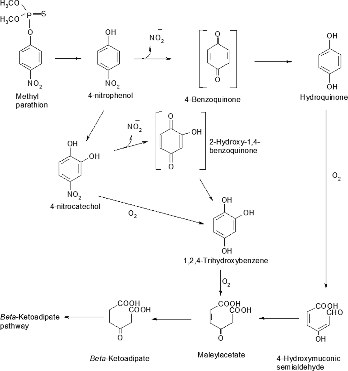 Organophosphate pesticide impact upon breathing