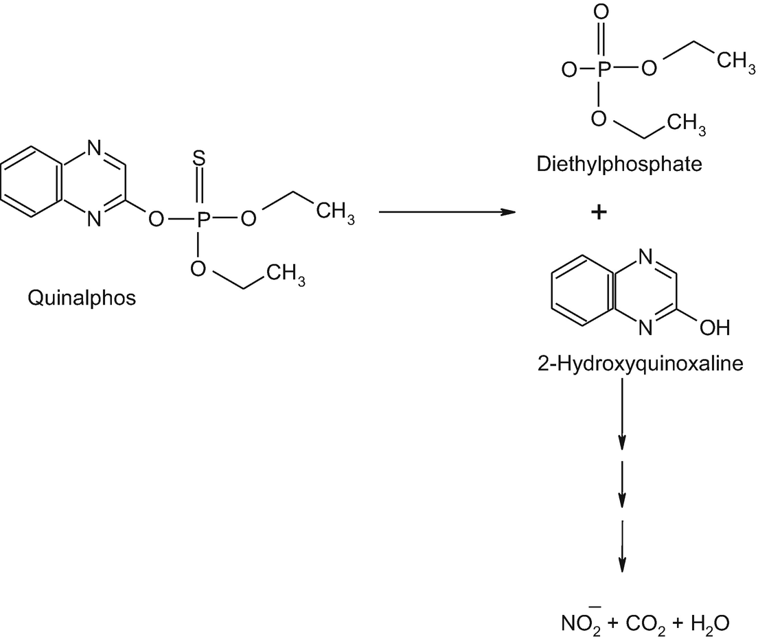 Organophosphate Pesticides Impact On Environment Toxicity And Their Degradation Springerlink