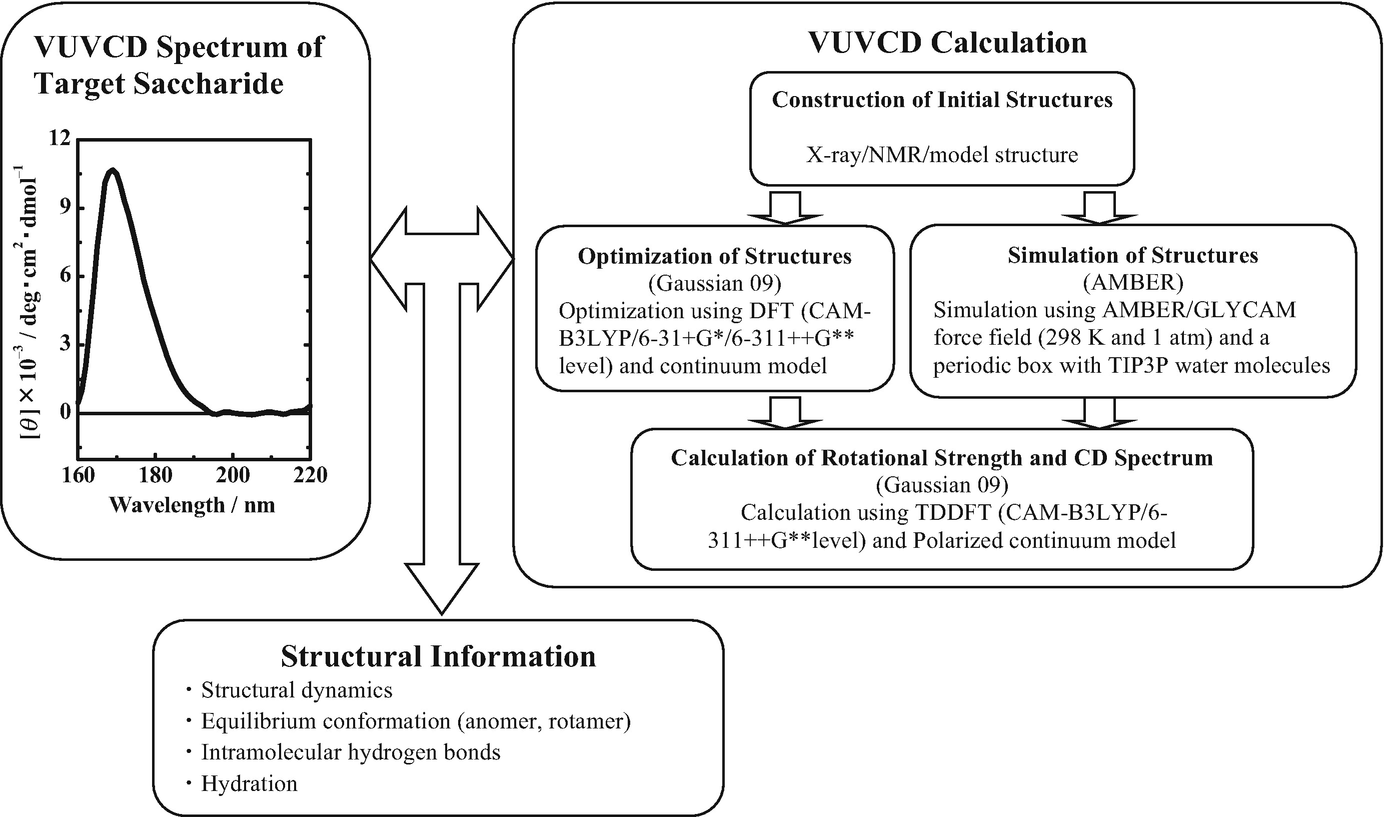 Synchrotron Radiation Vacuum Ultraviolet Circular Dichroism
