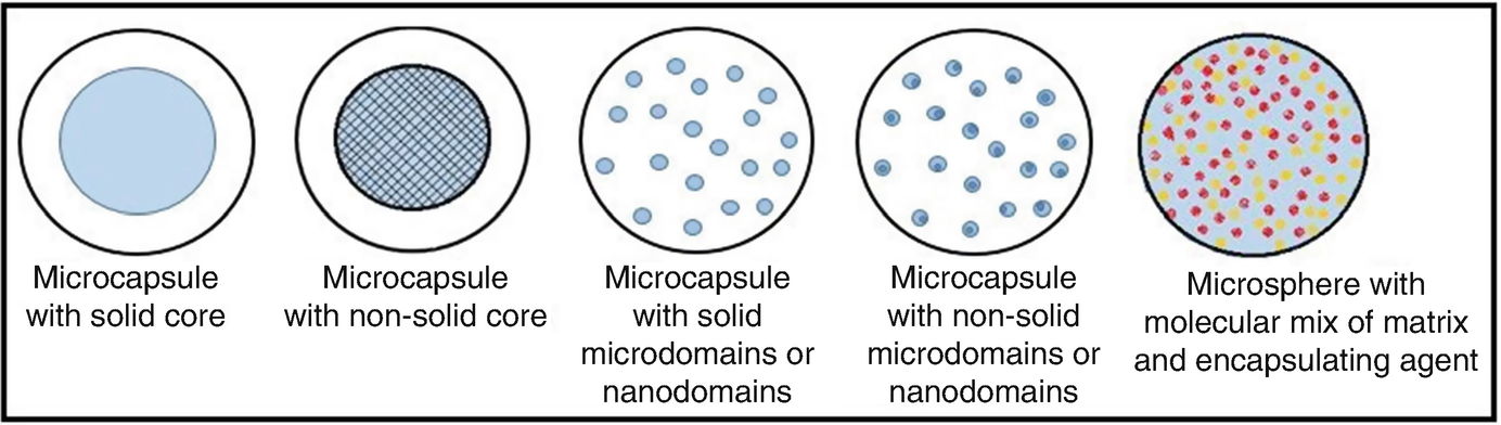 Oral Controlled Release Systems Current Strategies And Challenges Springerlink