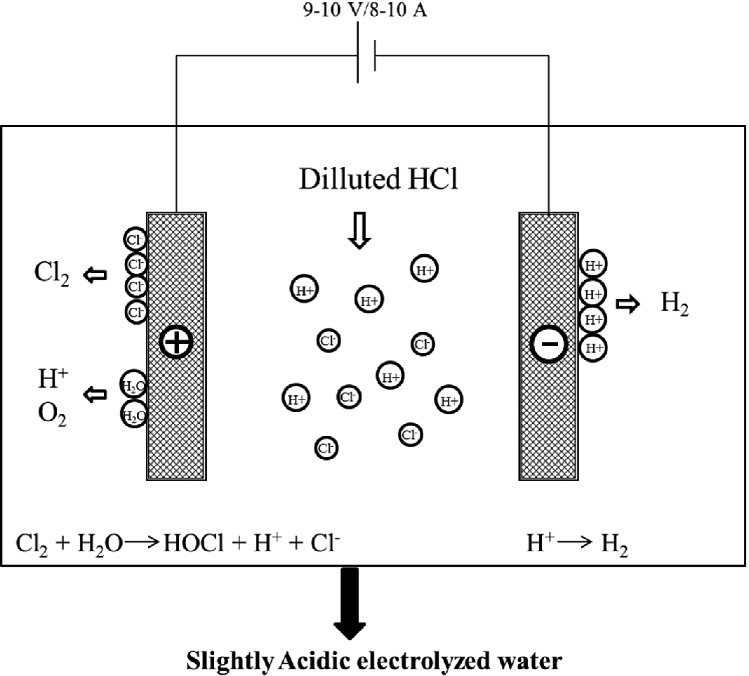 kangen electrolyzed water