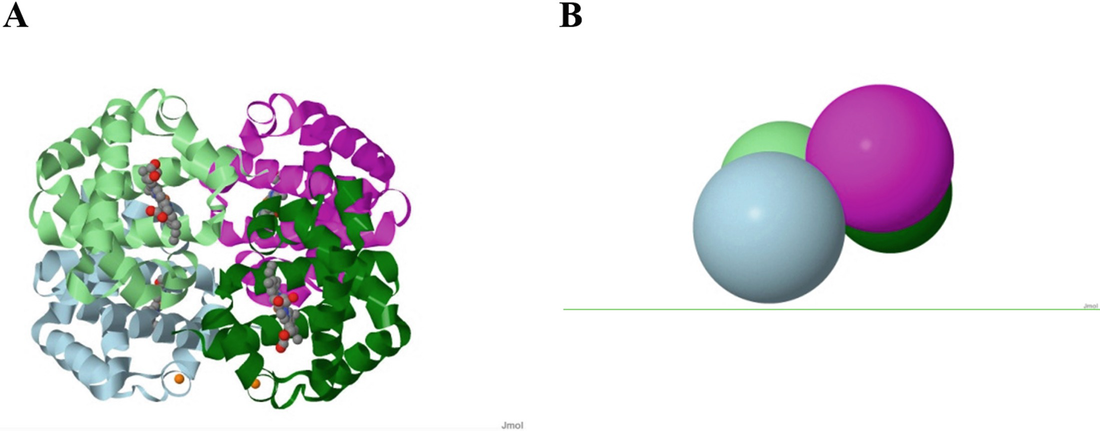 Conformational Transitions Springerlink - 
