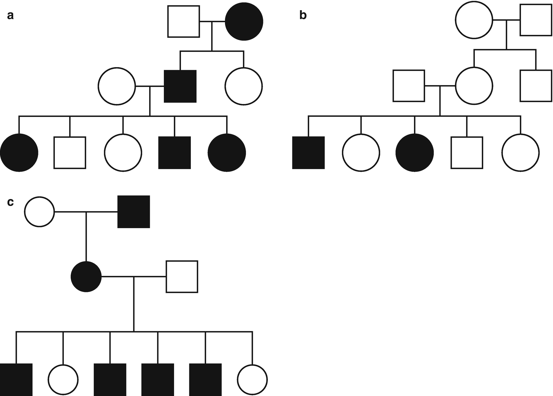 Hereditary Cataracts Springerlink