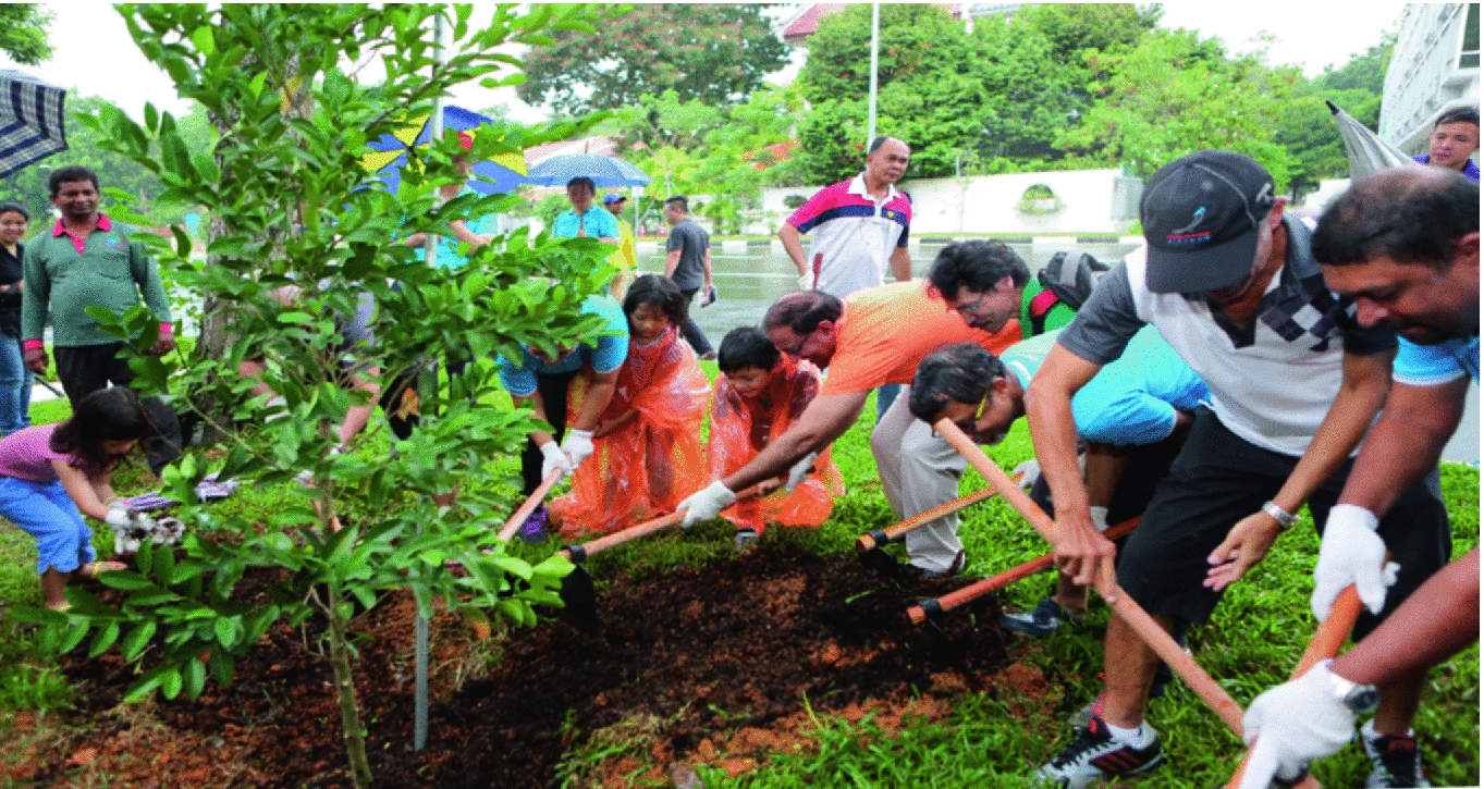 Fostering Social Cohesion In 21st Century Singapore Springerlink