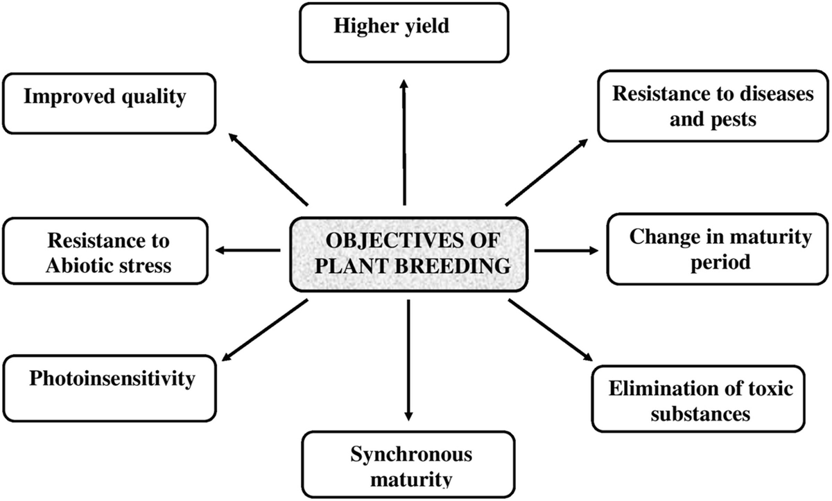 Plant Breeding Springerlink