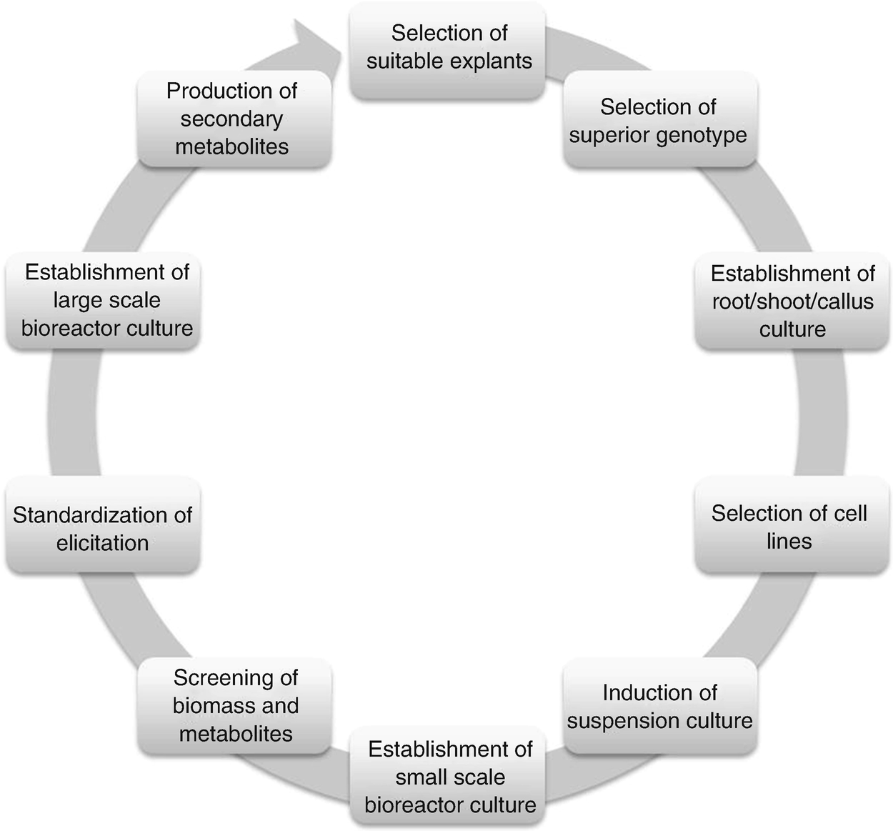 Prospects For The Use Of Plant Cell Culture As Alternatives To Produce Secondary Metabolites Springerlink