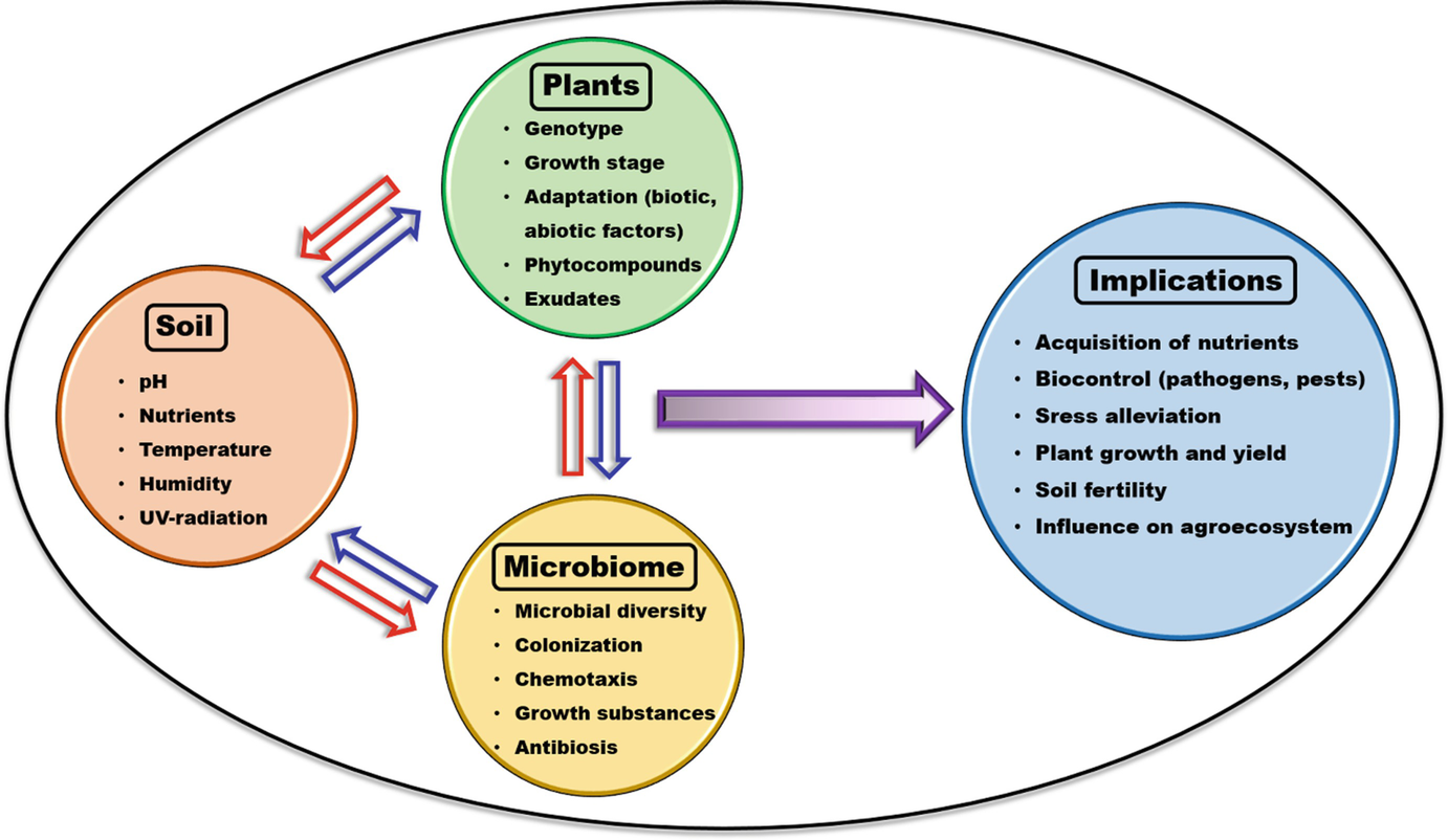 Plant Microbiome Interaction And The Effects Of Biotic And Abiotic Components In Agroecosystem Springerlink