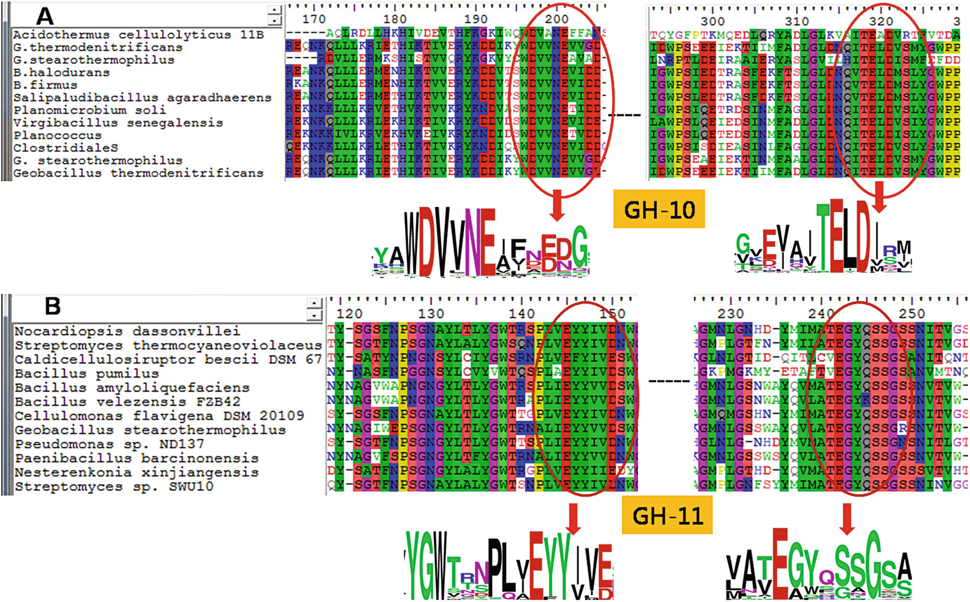 Diversity in Xylan-degrading Prokaryotes and Xylanolytic Enzymes and Their  Bioprospects | SpringerLink