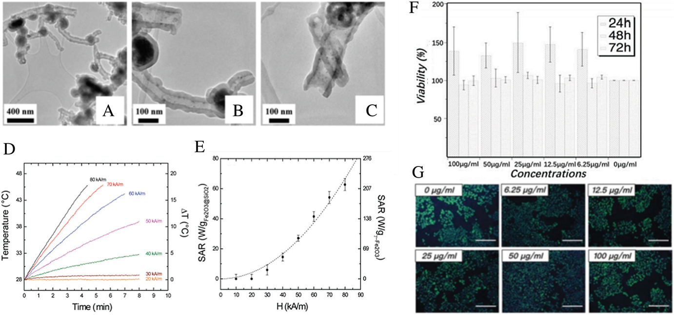 Magnetic Nanomedicine Springerlink