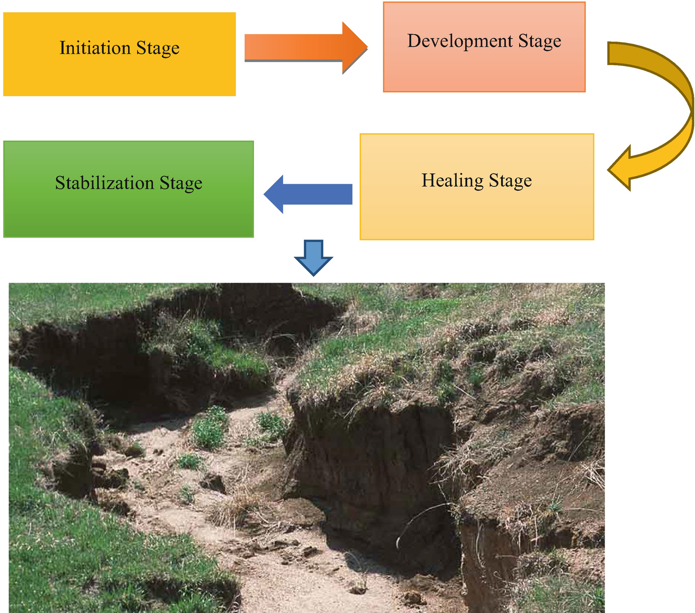 Soil Erosion And Management Strategies Springerlink
