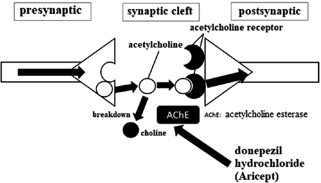 Donepezil Aricept Springerlink