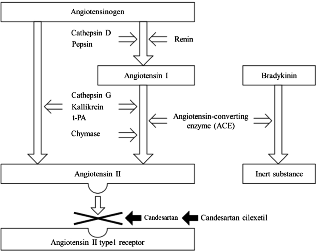 Chloroquine Cardiomyopathy Emzor Chloroquine Syrup Dosage Chloroquine Otc Usa Chloroquine Toxicity ค อ Chloroquine Cardiomyopathy Emzor Chloroquine Syrup Dosage Chloroquine Otc Usa Chloroquine Toxicity ค อ