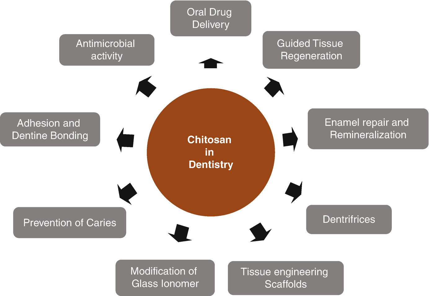 Application Of Nanoparticles In Dentistry Current Trends