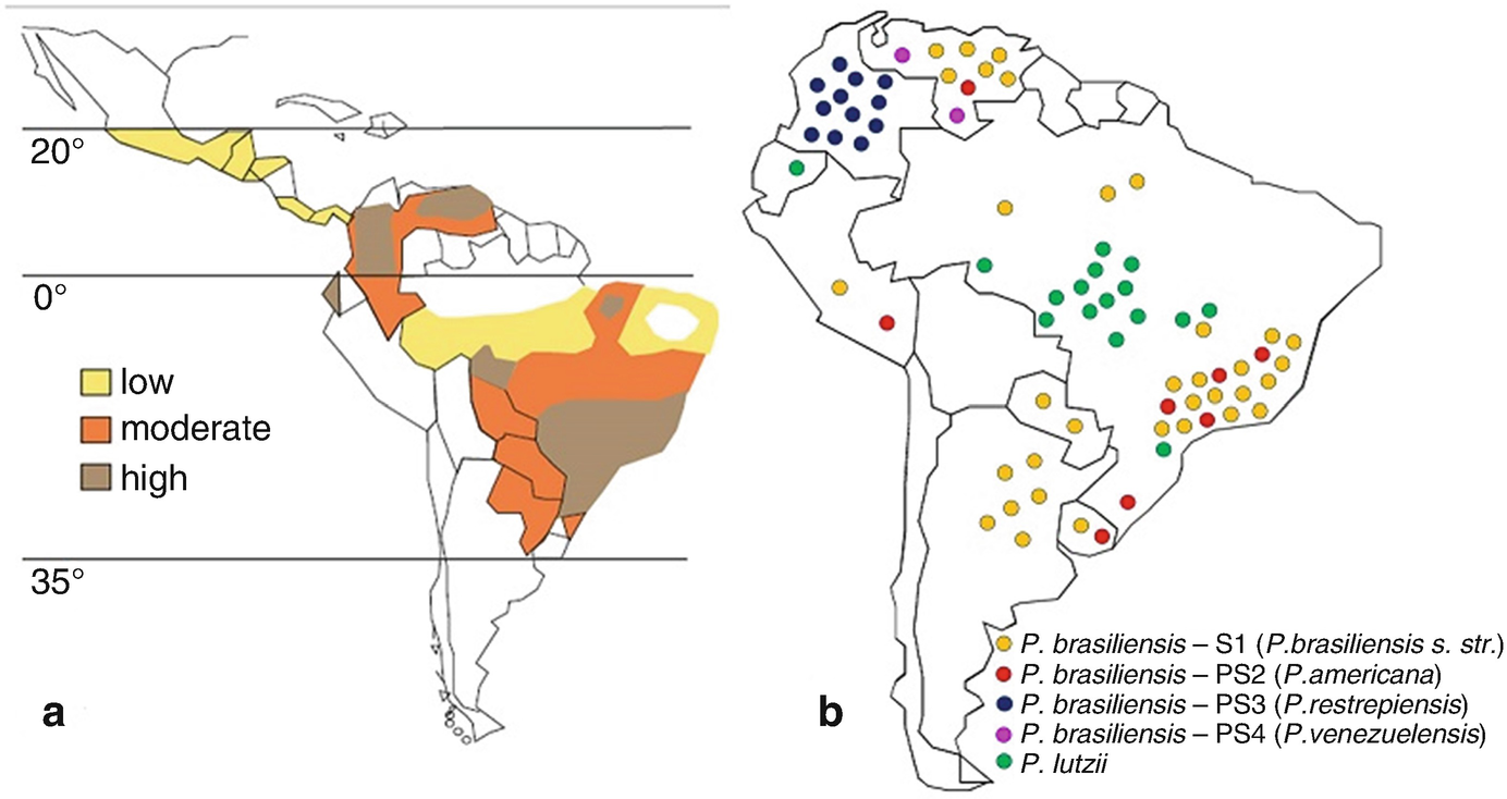 Endemic Mycoses In Americas Springerlink