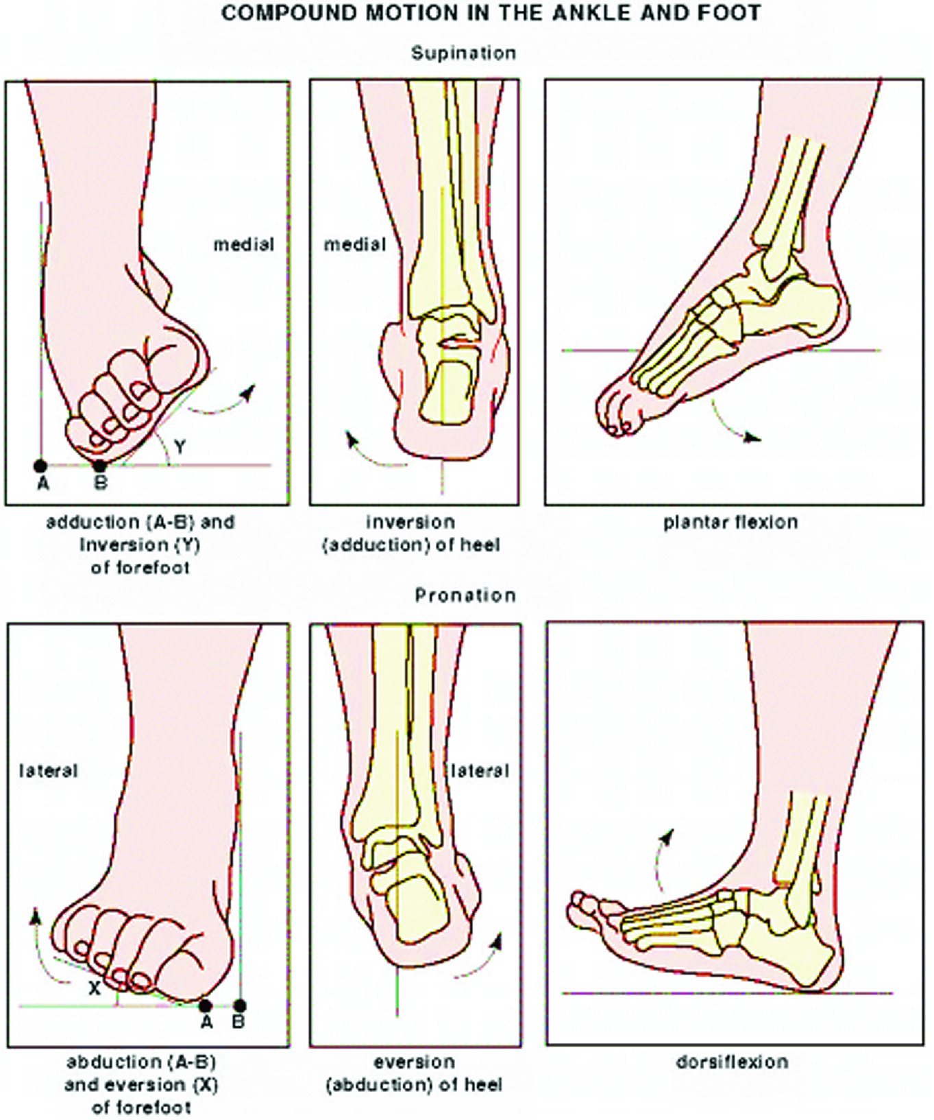 Design And Fabrication Of A Parallel Mechanism For Foot Ankle Rehabilitation Therapy Springerlink