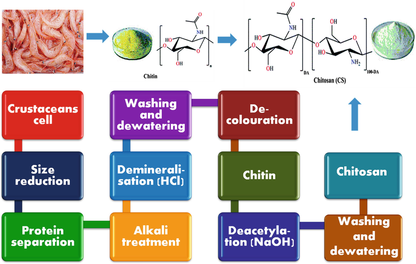Chitosan And Its Derivatives A New Versatile Biopolymer For Various Applications Springerlink
