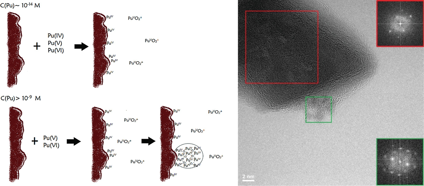 Function Of Colloidal And Nanoparticles In The Sorption Of Radionuclides Springerlink