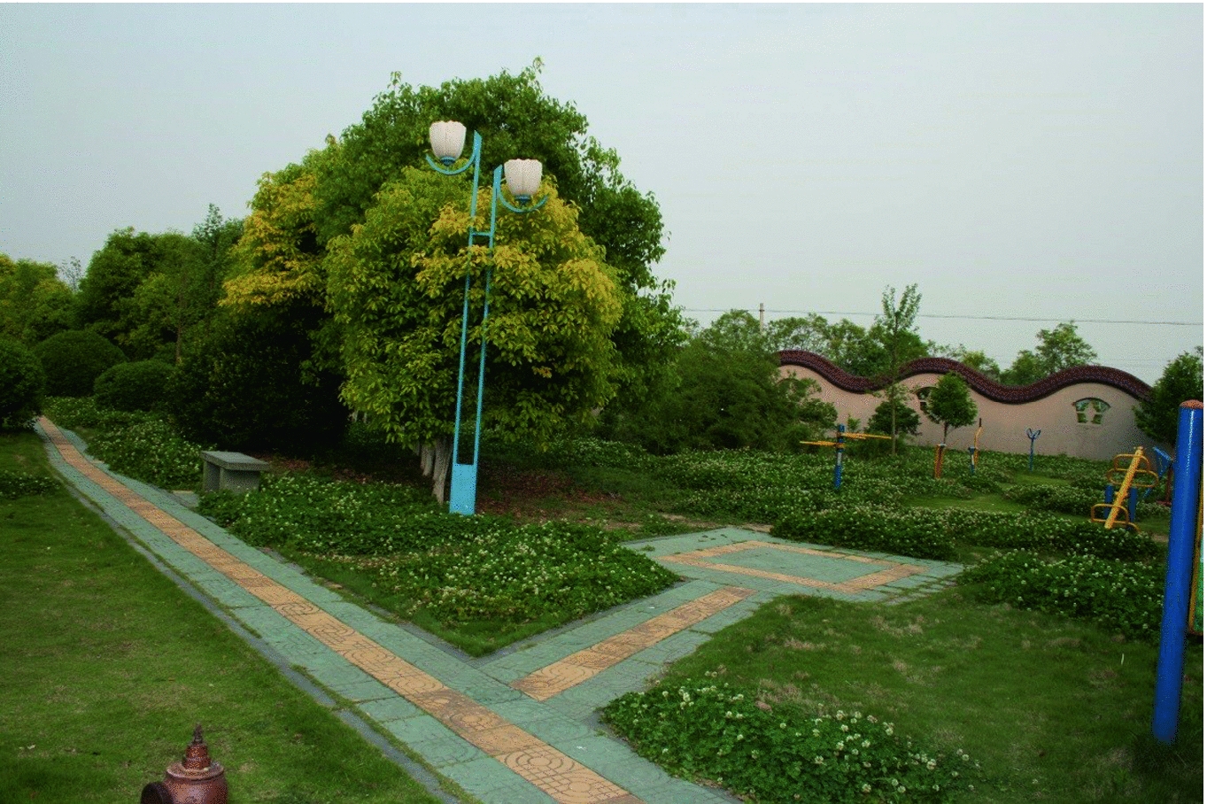 The Plant Hunter Replacing Roses Affected By Rosette Disease